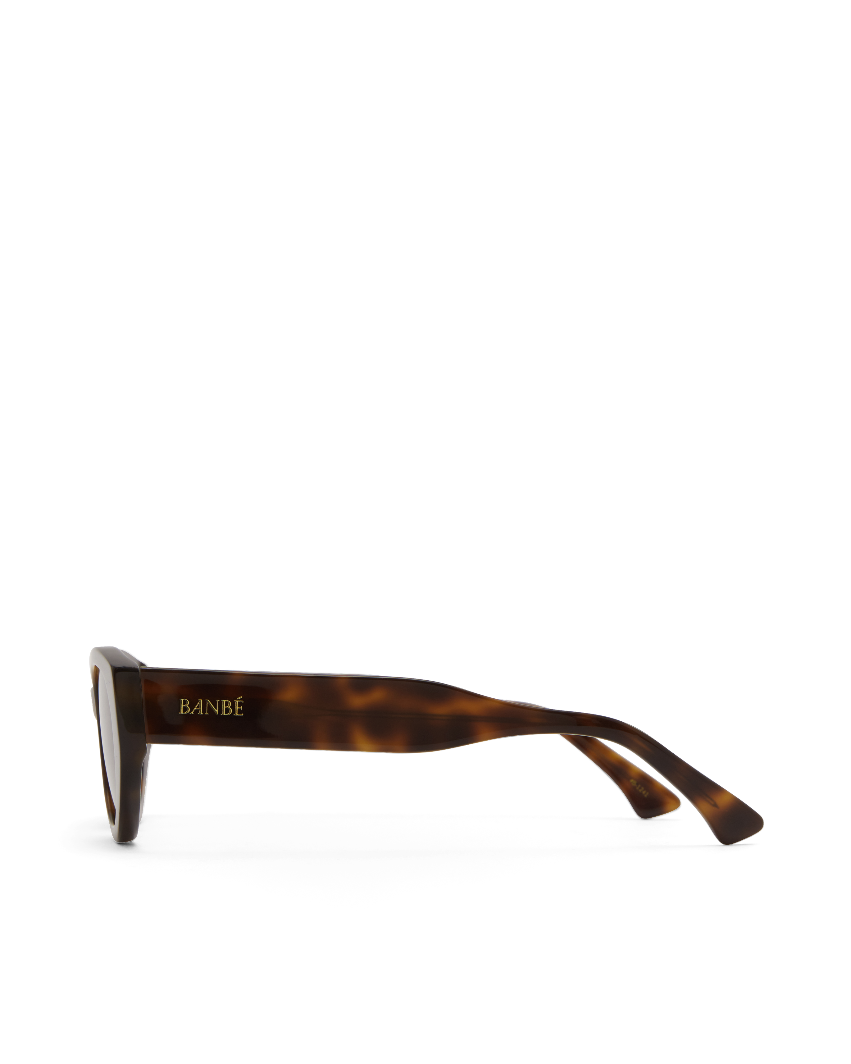 Sunglasses with tortoiseshell frame on a white background