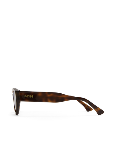 Sunglasses with tortoiseshell frame on a white background